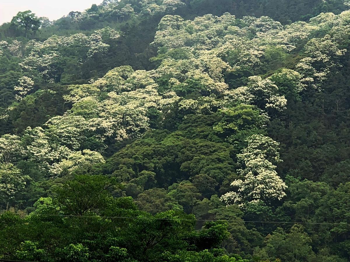 난좡 Chun Gu Farm 빌라 외부 사진